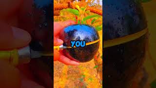 🚨 IMPOSSIBLE! 🤯 You Won't Believe What's Inside This Fruit—It's Worth MILLIONS! 💎 | #fyp #fruit screenshot 5