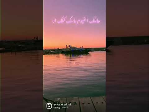 عشانك سيلاوي عشانك  سيلاوي حالات واتس