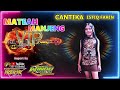 MATEAH MANJENG CANTIKA ISTIQ FARIN VIP music WINDU production