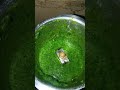 🌿🍀முடக்கத்தான் கீரை தோசை🍛🥬