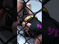 Aspen Ladd Uses Brutal Elbows to Get an Armbar #mma #bjj #sports