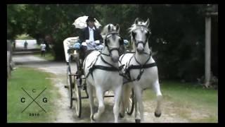 Carruajes Galicia 2016