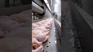 From Raw Chicken to Perfect Meatballs: A High-Tech Factory #factoryprocess #howitsmade #shorts