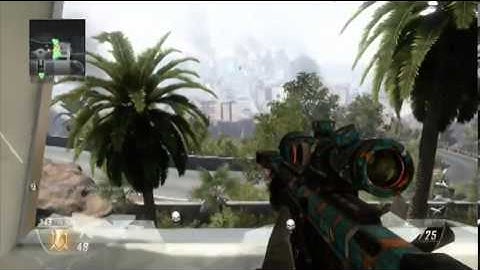 BO2 Trickshot  Raid Suicide   OLD GT (Search)
