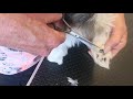 Sådan klipper du din hunds poter - Bør trænes fra hvalp