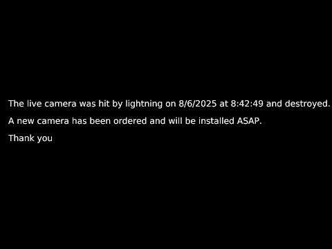 Panorama from above, PTZ camera Live Stream