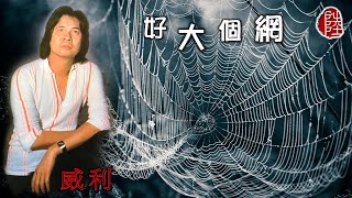 威利(馮偉林)【好大個網1981】(歌詞MV)(1080p)(作曲：寺尾聰 ... 