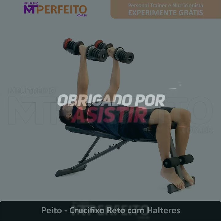 Peito - Supino Reto com Halteres - Meu Treino Perfeito