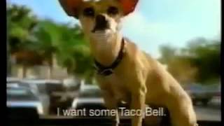 Taco Bell's Gidget The Chihuahua Commercial 1998