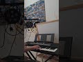 Layla(Dj Robin und Schürze) auf meinem keyboard