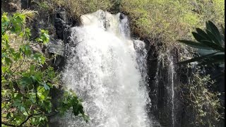 وادي السمك.. قطعة من الجنة على أرض الجولان المحتل!