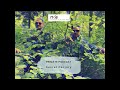 Primate Podcast - Secret Factory