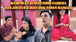 Download Lagu MAMPIR KE RUMAH INDRI FAHRIZA | BOS JOS BUS \u0026 DIAN ANIC PANEN MANGGA | LIVE TIKTOK MP3