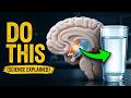 "How the Brain Controls Hunger and Thirst" | HowCore |