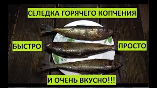 Селедка горячего копчения. Коптить селёдку