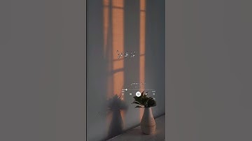 شريف مصطفى|سورة النور|تلاوة هادئة🤍 #قرآن #قران_كريم #حالات_واتس  #حالات #شريف_مصطفى