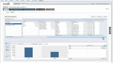 SAP Business All-in-One Delivering Information to Your Fingertips