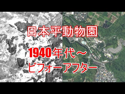【静岡】静岡市立日本平動物園
