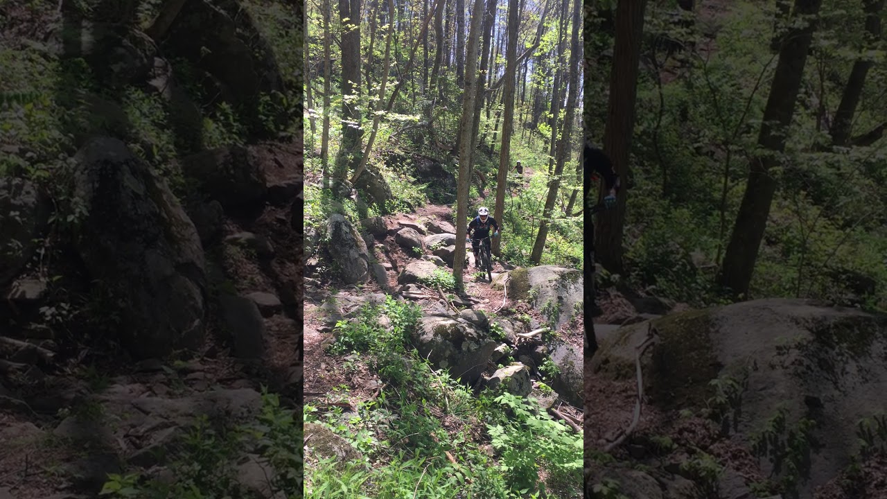 Windy Gap Rock Garden Sessioning camera iphone 8 plus apk