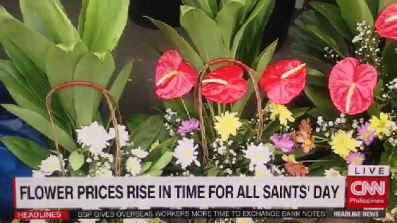 Flower prices rise in time for All Saints' Day YouTube