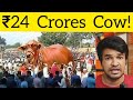 ₹24 Crores Indian Buffalo | Tamil | Madan Gowri | MG
