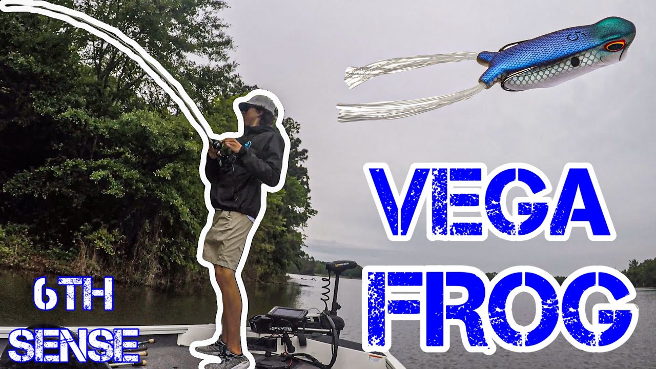 VEGA FROG gets big TOPWATER BLOWUPS! (The BEST FROG IN THE WORLD!) 