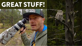 Wonderful Stuff in the Forest and a $20,000 Selfie Stick  Wildlife Photography with Great Gray Owl