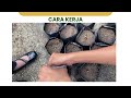Laporan laraktikum botani umum 8 persemaian biji (2025)