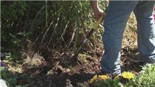 Beginners' Gardening Tips : How to Arrange Flower Gardens
