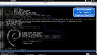 Video Demo #1 (Botnets of the Web - How to Hijack One)