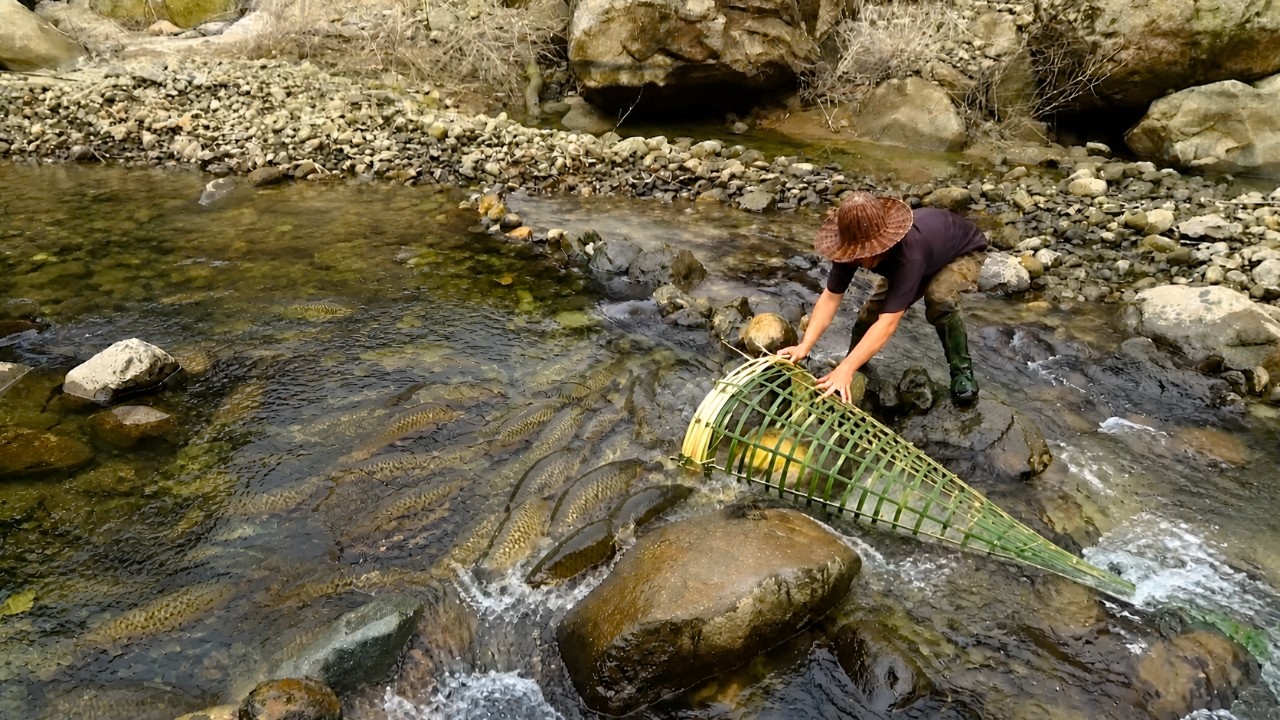 Creating bamboo fish traps to catch huge stream fish - Taking shelter ...