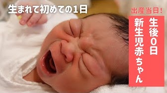 生後0日 Youtube