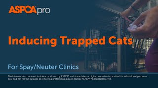 Spay/Neuter Patient Induction: Inducing Trapped Cats