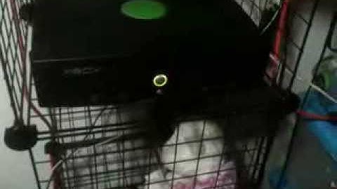 Xbox Softmod failed please HELP!!!