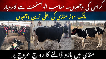 Special small scale investment dairy business 2025 II Manukmor mandi updates