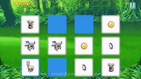 Wonder Zoo mobile java games