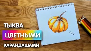 Как нарисовать цветными карандашами 