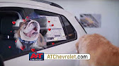 Dog Seat Covers For Chevrolet Equinox