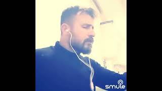 Aklı Yok Fikri Yok