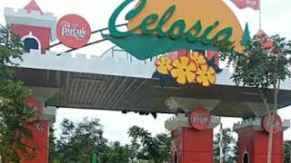 Wisata Taman Bunga Celosia 2 Bandungan Kab.Semarang | 2020