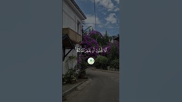 سورة النور  " الآية  22 "  🕋