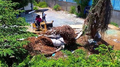 Mix 2Process Working Clear Garbage Tree with Fill Land by KOMATSU Dozer Machines and dump truck