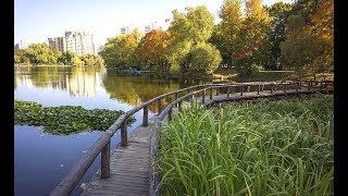 Воронцовский парк в Москве, усадьба Воронцово, сентябрь 2017.