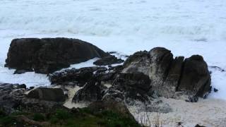 Espuma de mar.