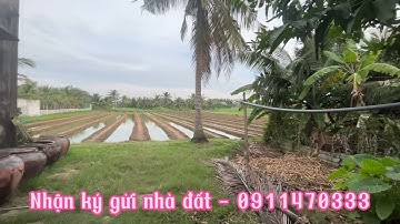 Tập 118: Bán căn nhà rẻ nhất Tiền Giang, diện tích ngang 9 dài 35 có 312 CLN gần kcn Tân Hương