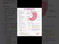 ⚕️💗✨ - ( STOMACH ) @Sangeetha-zm4ic #subscribe #like