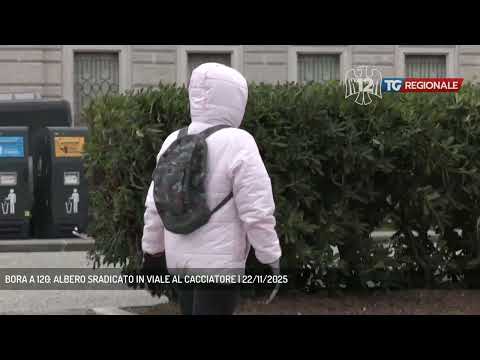 BORA A 120: ALBERO SRADICATO IN VIALE AL CACCIATORE | 22/11/2025