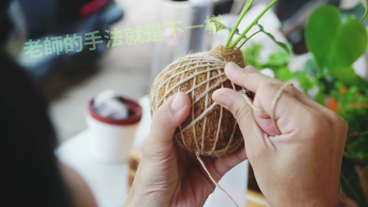 2021.04.02漁光島藝術季trytry苔球 kokedama
