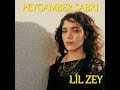 lil zey peygamber sabrı ama arabesk