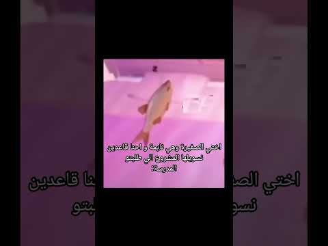 اختي الصغيره وهي نايمة واحنى قاعدين نسويلها المشروع الي طلبته المدرسه اكسبلور